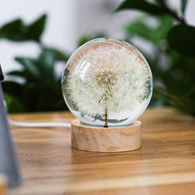 Dandelion Night Light, Real Dandelion puff Paperweight, Flower Epoxy Resin Nightlight, Epoxy Resin Wood Table Lamp,  Gift for her