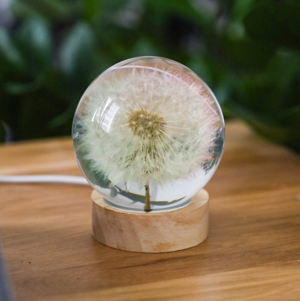Dandelion Night Light, Real Dandelion puff Paperweight, Flower Epoxy Resin Nightlight, Epoxy Resin Wood Table Lamp,  Gift for her