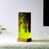 Unique Resin Night Light Lamp, Diver lamps decoration, Wooden Night Lights for decoration, Resin art lamp, Christmas gifts for him