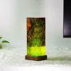 Unique Resin Night Light Lamp, Diver lamps decoration, Wooden Night Lights for decoration, Resin art lamp, Christmas gifts for him