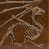 Dragon Skeleton Fossil Miniature Epoxy Resin Lamp